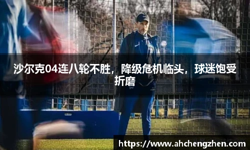 amjs澳金沙门