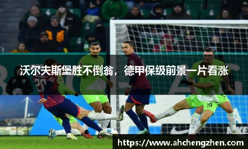 amjs澳金沙门