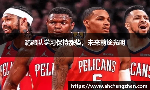 鹈鹕队学习保持涨势，未来前途光明
