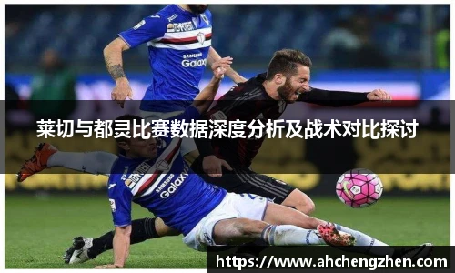 amjs澳金沙门官网